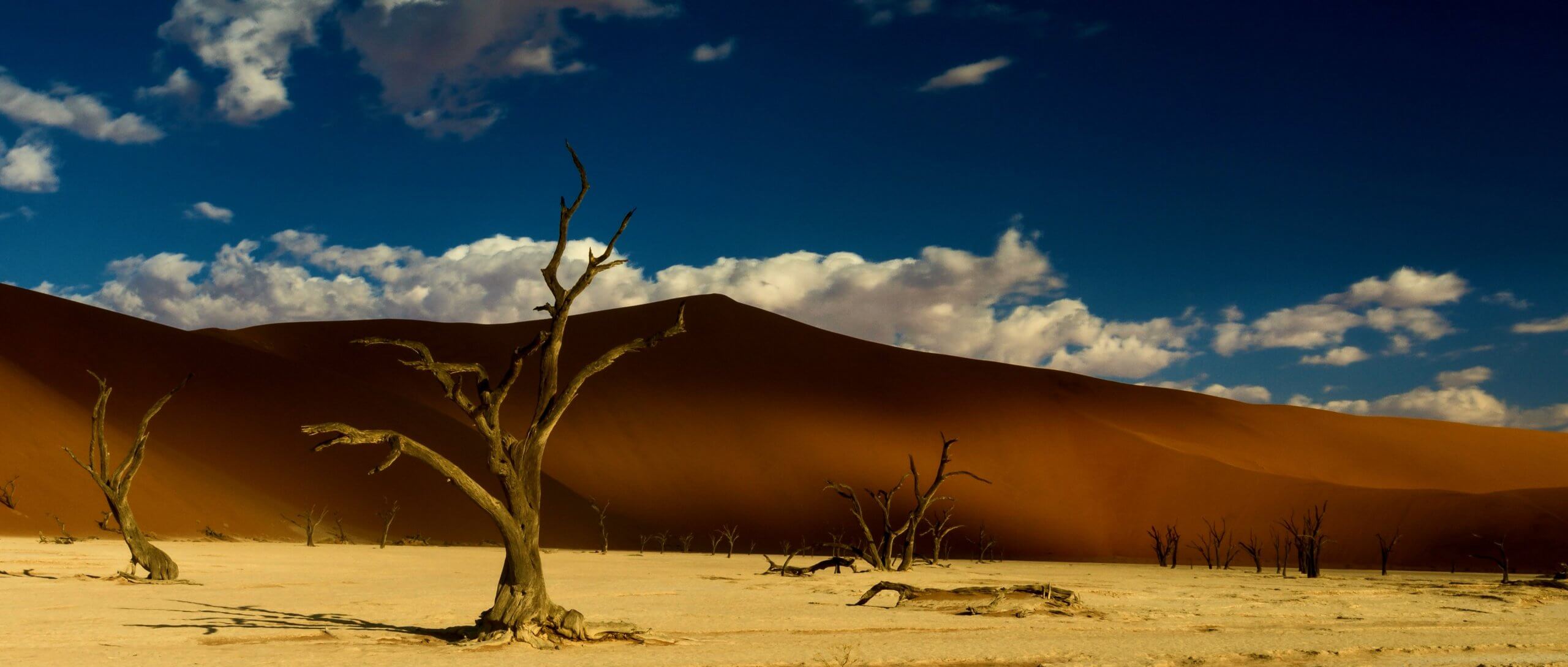 DS_Cut_Final_CS_04-min