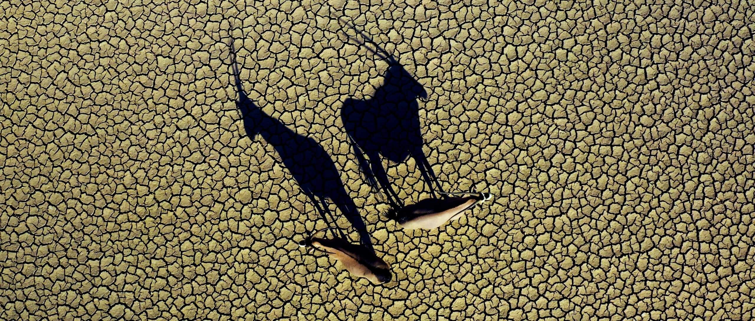 DS_Cut_Final_CS_05-min