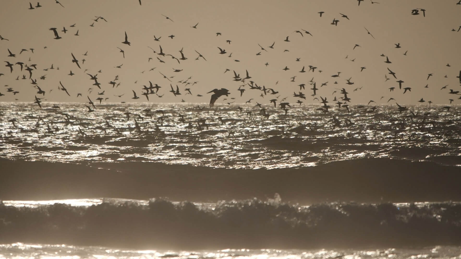 BT_California_Screenshot_7