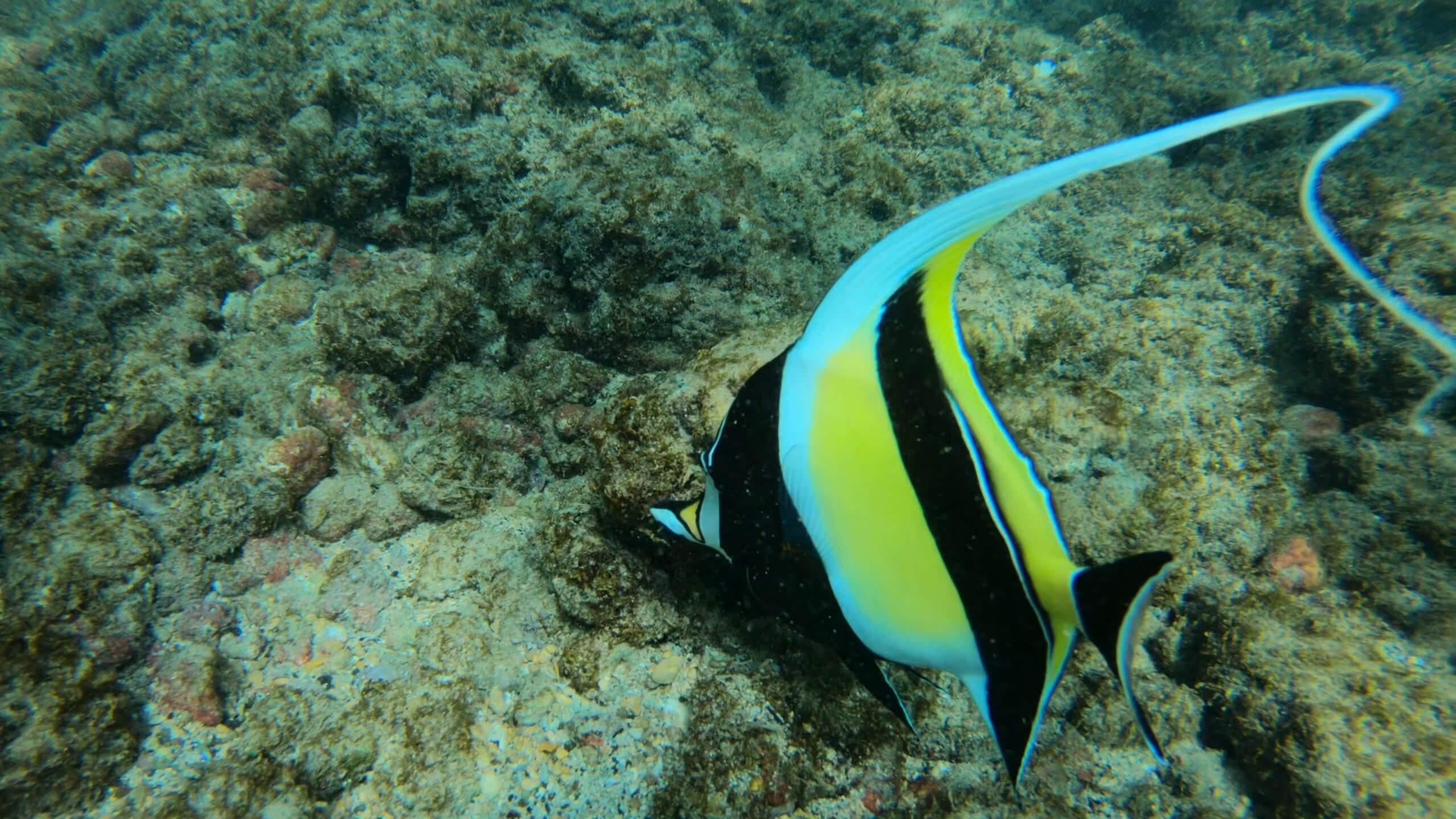 BT_Kauai_Screenshot_30