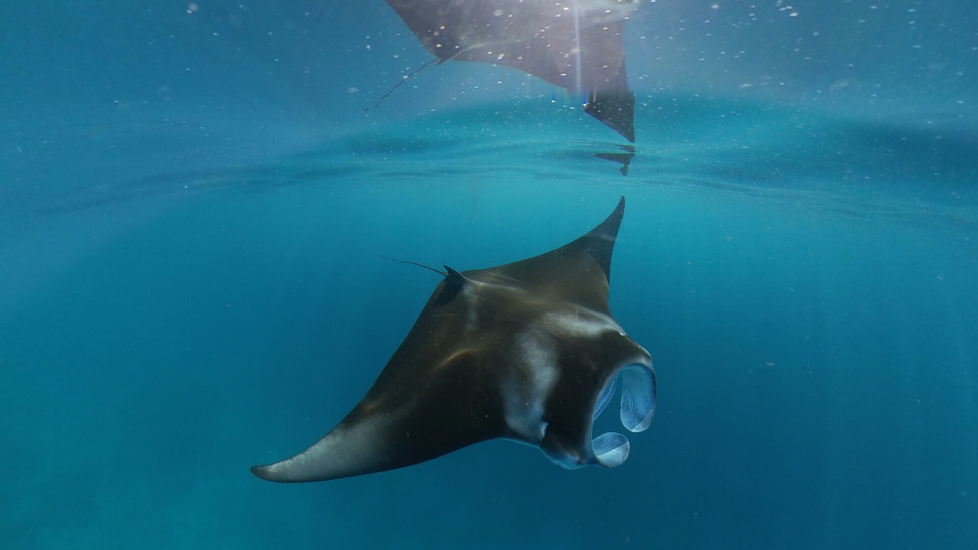 BT_Maldives_Screenshot_21