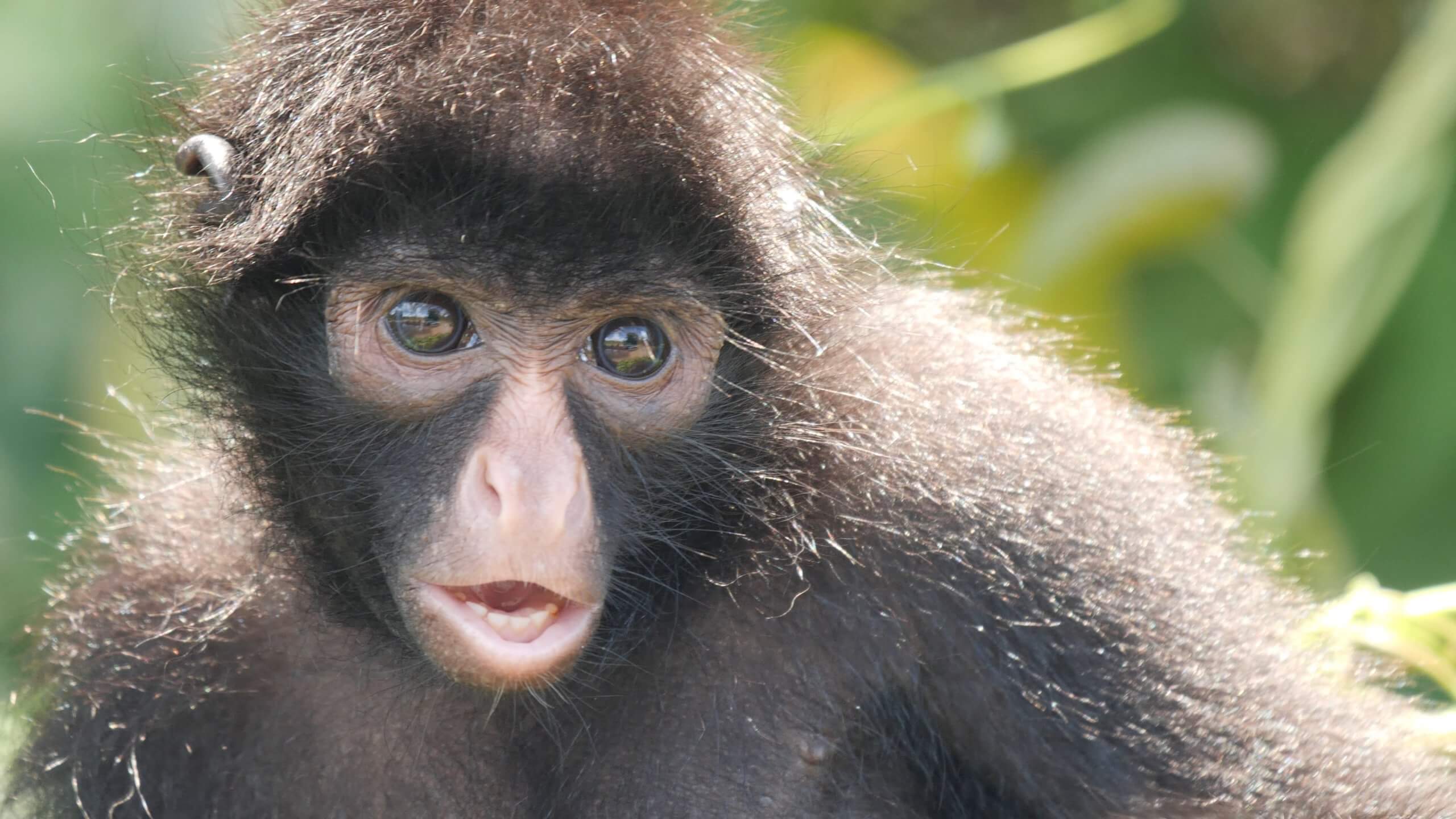 BT_Peru_Screenshot_26