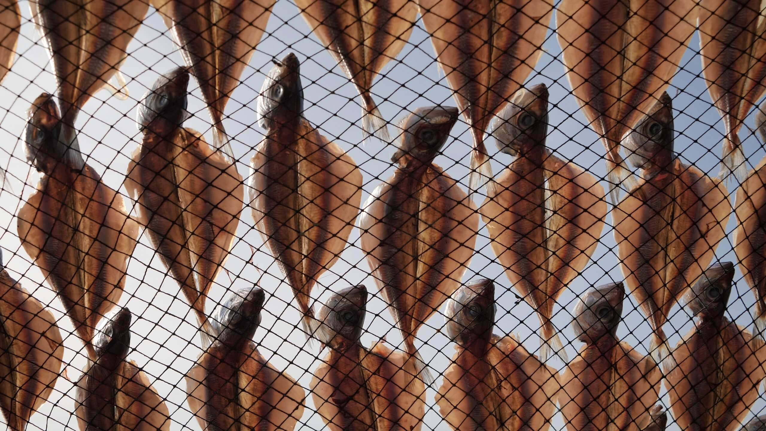 BT_Portugal_Screenshot_14