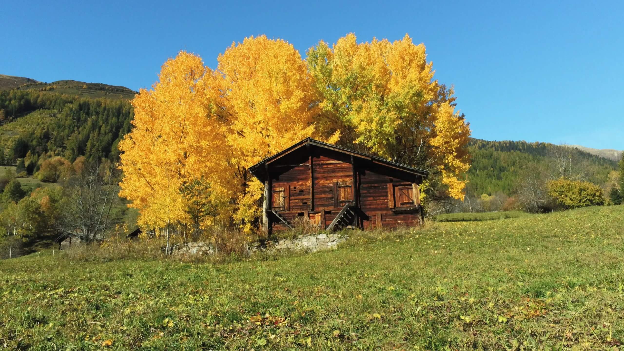 BT_Switz_Screenshot_17