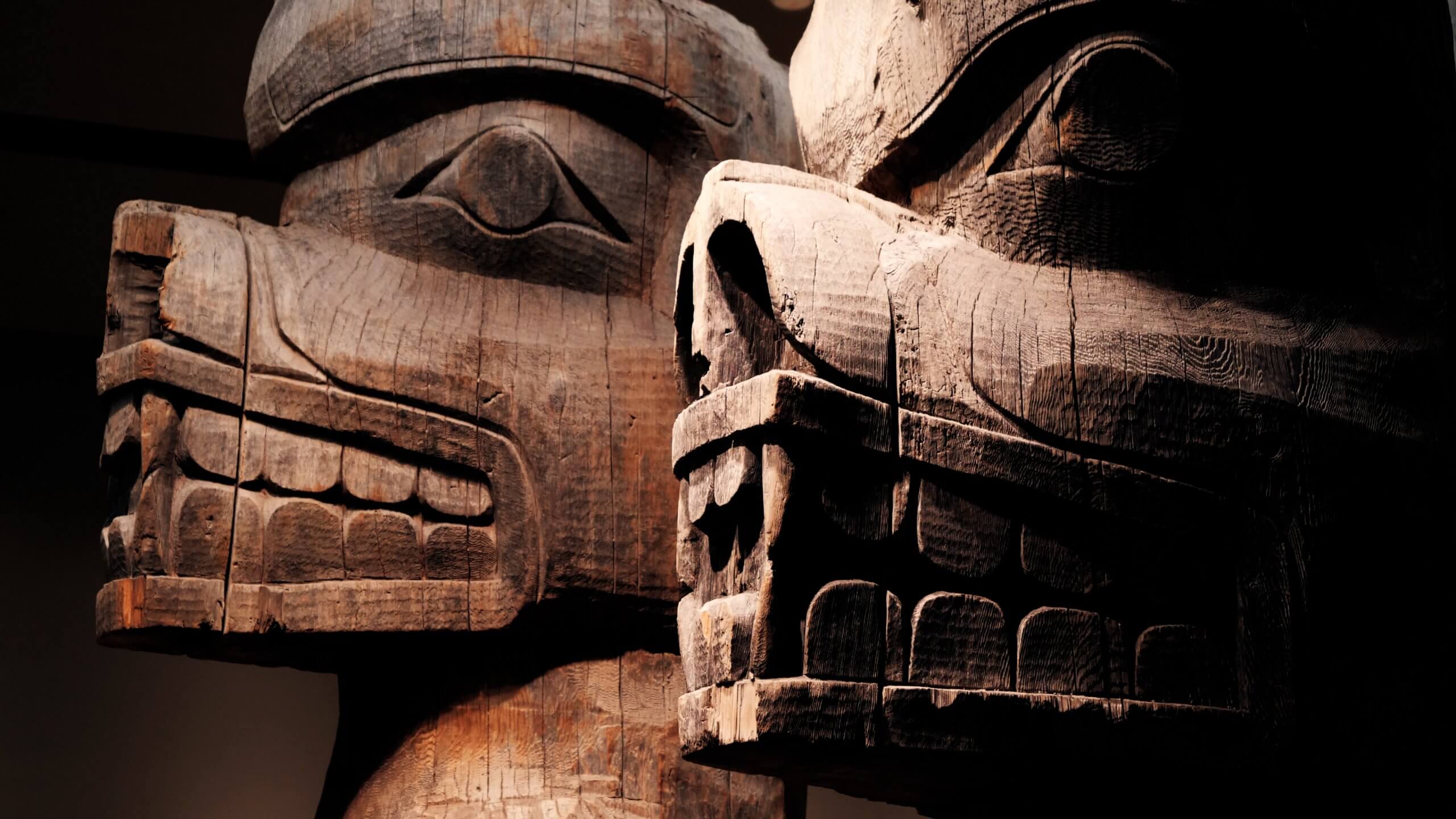 P1002491.00_03_06_17.Still014